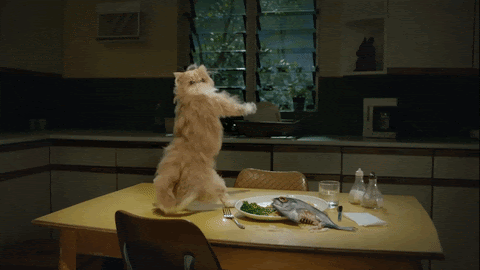 cat_dancing